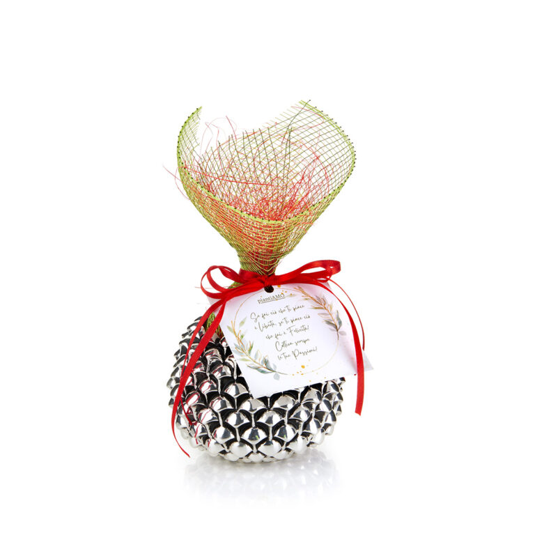 acca natale 2023_0010_ACCA_AG166 4